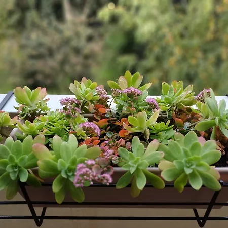 A Casa Di Cocco * Padova