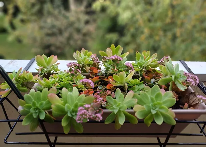 A Casa Di Cocco * Padova